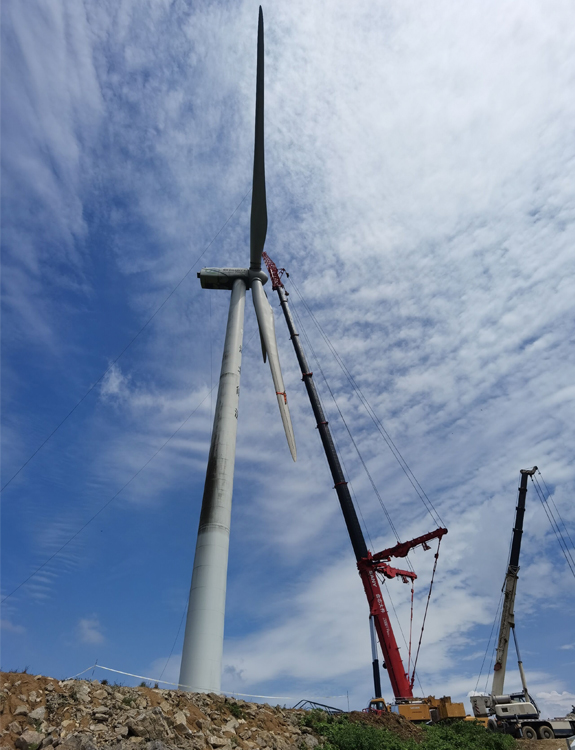 1590457245930828.jpg 66.jpg